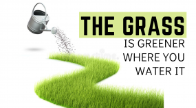 Life | January 24, 2022